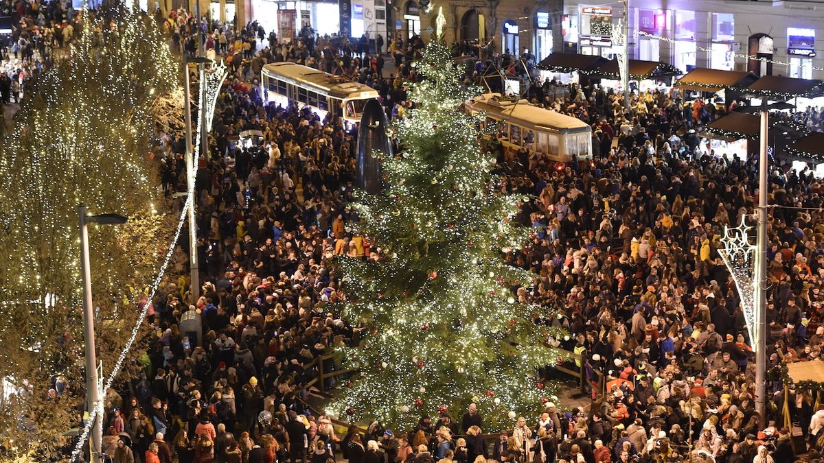 Jaké vánoční stromy mají v Brně, Prostějově, Vyškově, Zlíně, Blansku či Olomouci